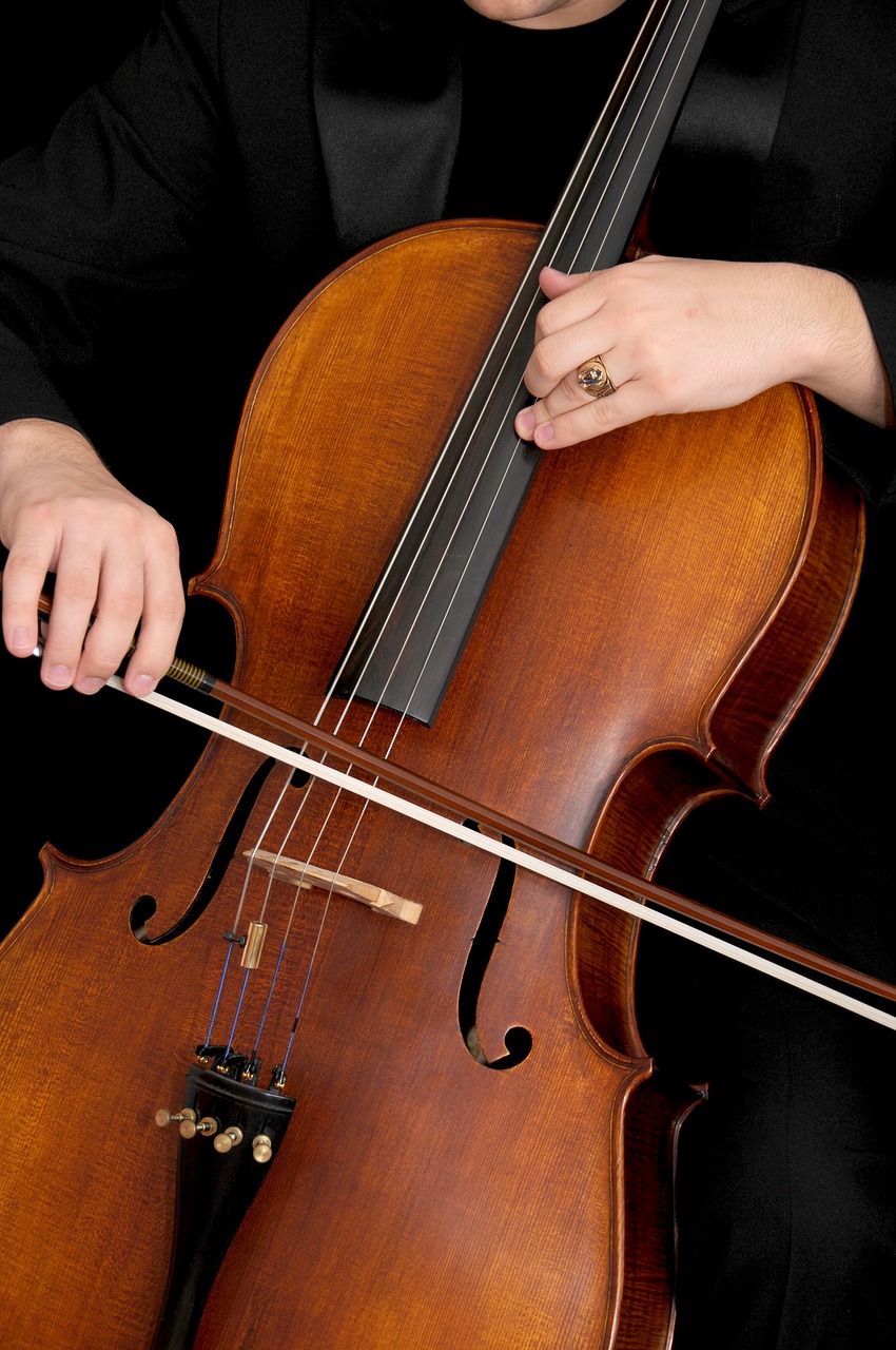 Up close photo of a cellist