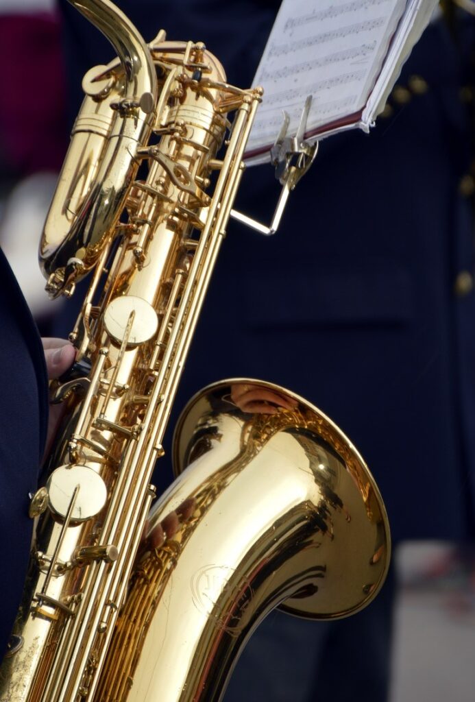 Saxophone - Evanston Civic Orchestra and Chorus